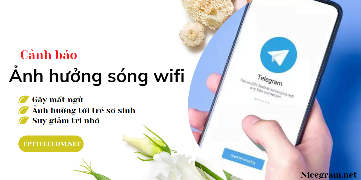 Ảnh hưởng sóng wifi lên cơ thể