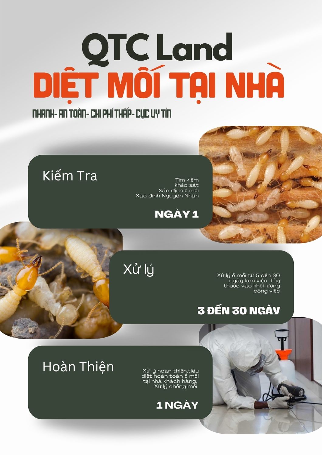 Dịch vụ diệt mối tận gộc QTCland.com